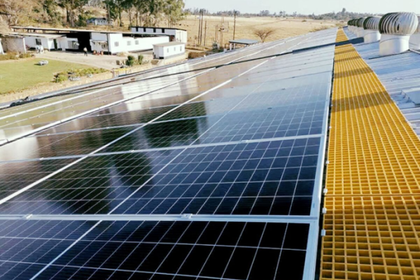 Top Solar Panel Manufacturers in India